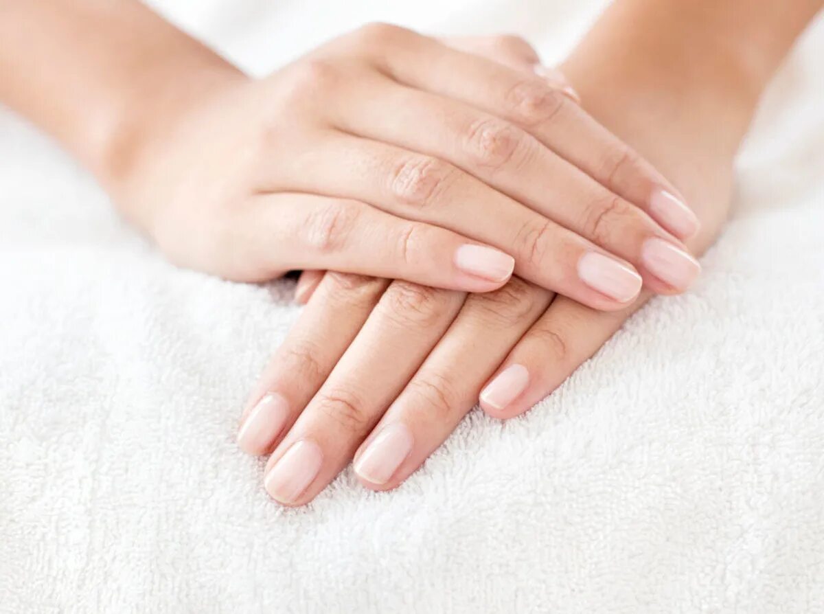 Красивые ногти без маникюра. Красивые ухоженные руки. Гладкие женские руки. Красивые ухоженные ногти. Женские руки без маникюра.