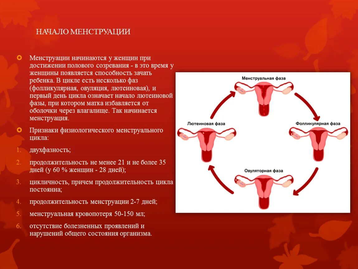 Почему долго идут месячные. Фаза секреции менструального цикла. Появление первой менструации. Как происходит процесс менструации.