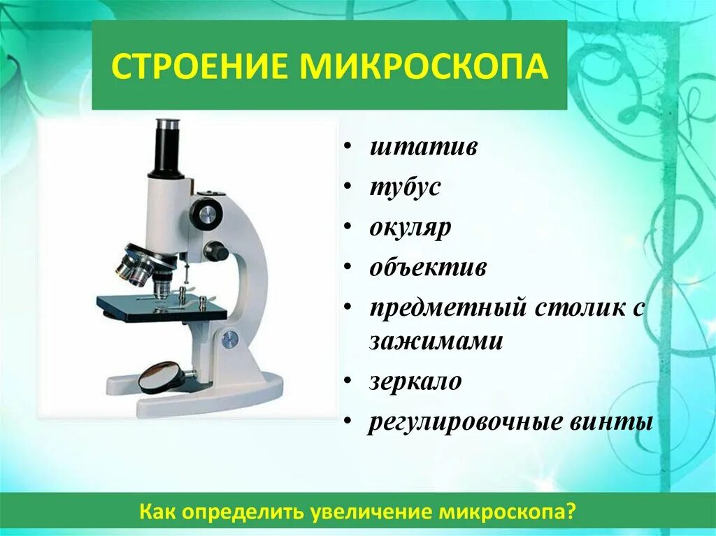 Строение цифрового микроскопа 5 класс биология. Цифровой микроскоп строение 5 класс. Биология 5 кл строение микроскопа. Детали цифрового микроскопа 5 класс.