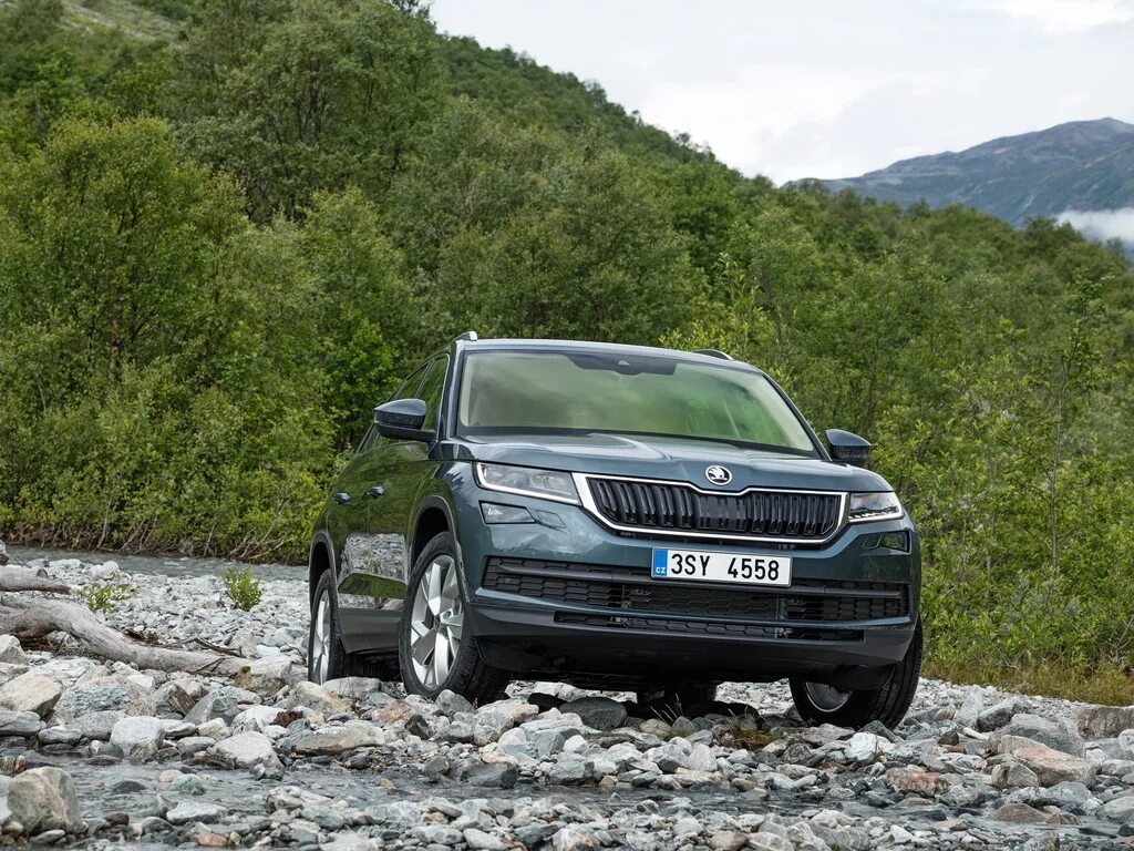 Шкода кодиак 1.4 купить. Skoda Kodiak. Skoda Kodiaq. Кодиак 2017. Шкода Кодиак 2016.