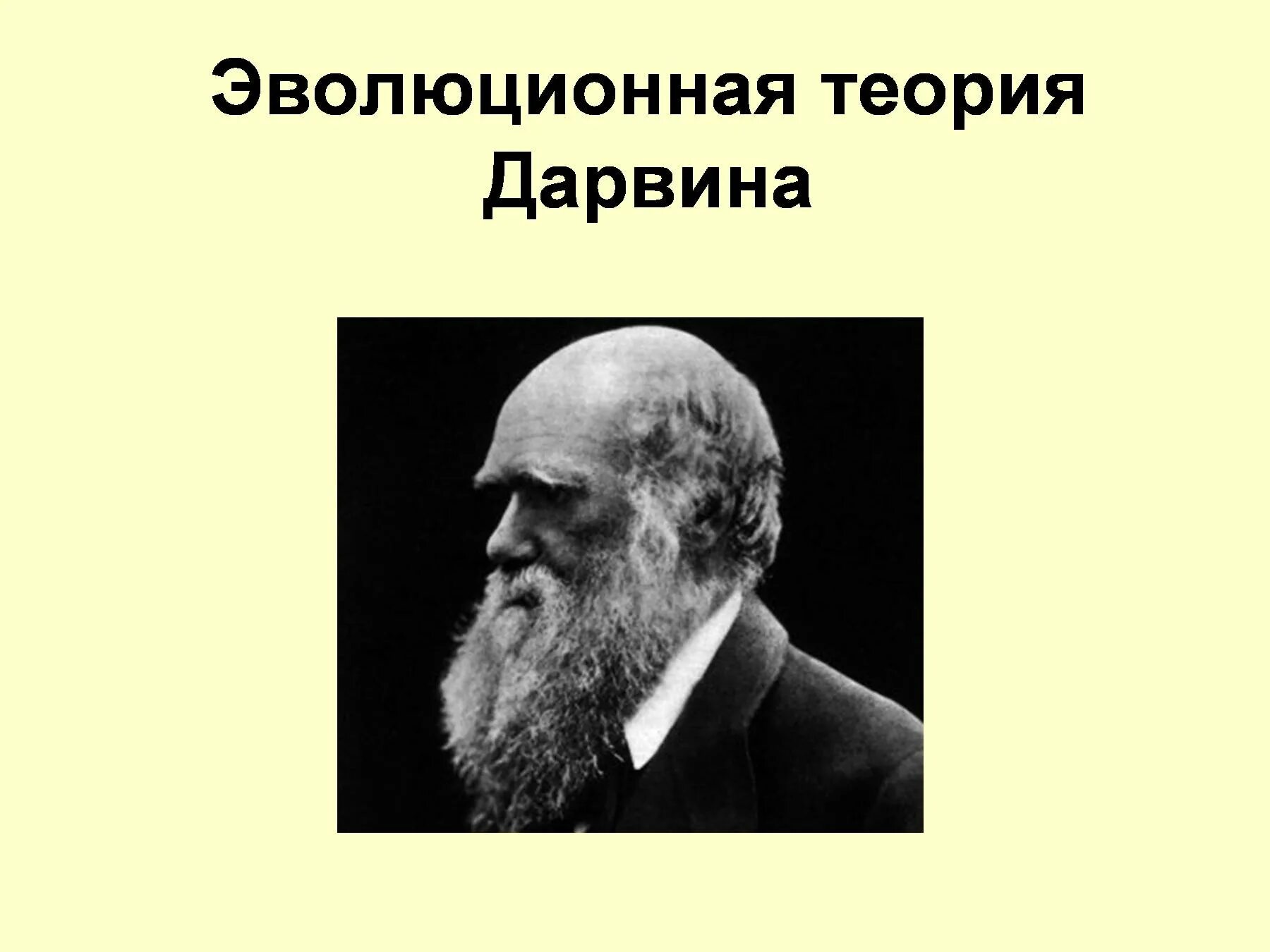 Первая теория дарвина. Эволюционная теория. Эволюционная теория Дарвина. Теория Дарвина биология. Эволюционное учение Дарвина.