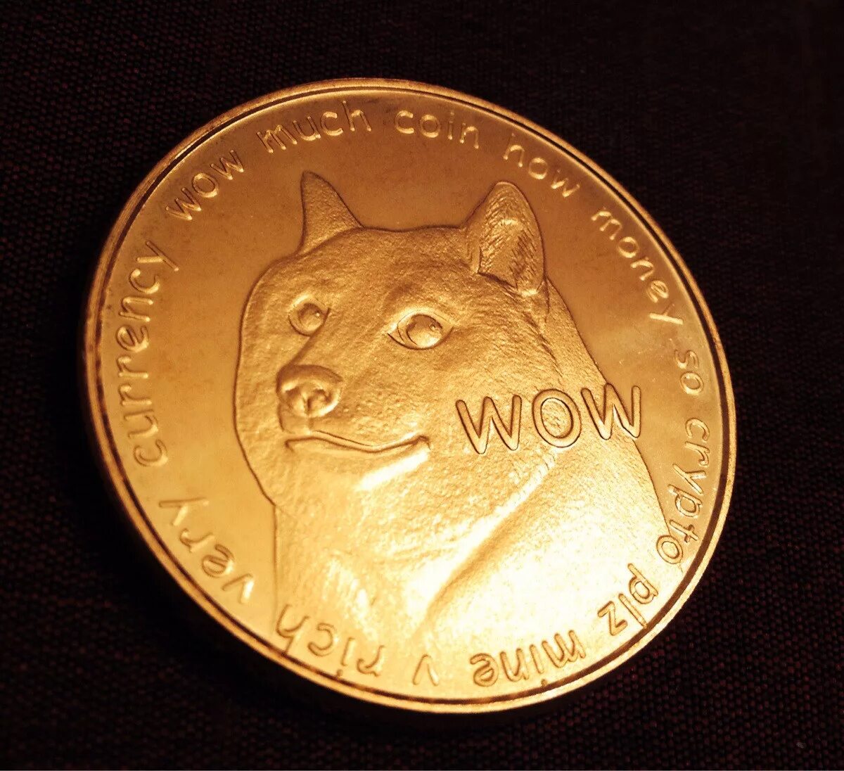 Dogecoin монета. Логотип dogecoin. Монета год собаки 2018. Dogs монета. Dogs монета.