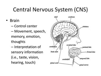 Central system