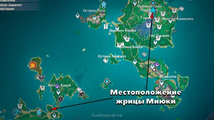 Как собирать цвет сакуры - Telegraph