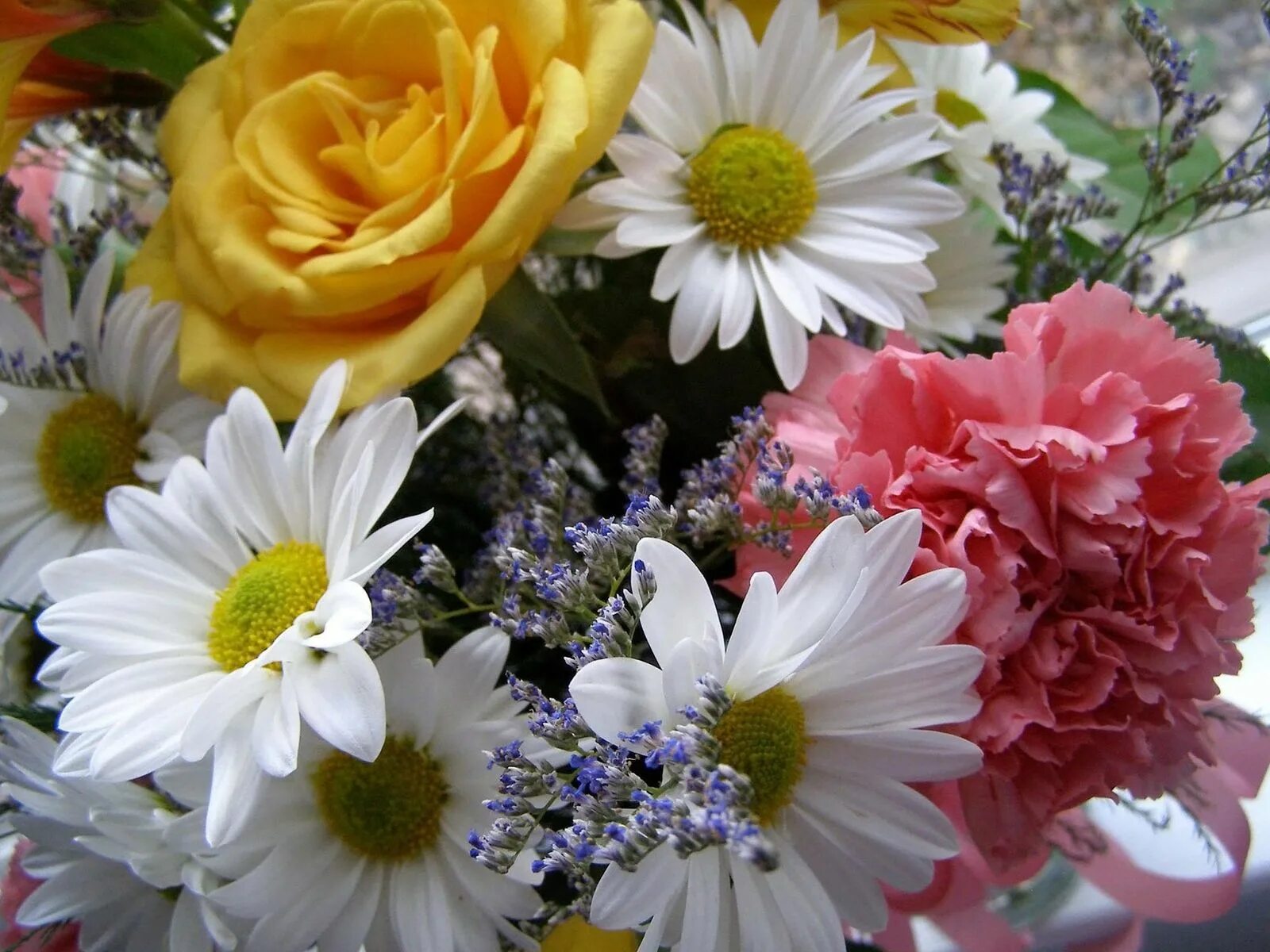 Красивый букет цветов. Яркие цветы. Разные цветы. Красивые цветы. Цветы картинки праздник красивые