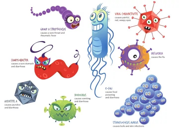Бактерии для детей. Стрептококки рисунок. Стрептококки мультяшное изображение. Карикатура стрептококки. Germs перевод