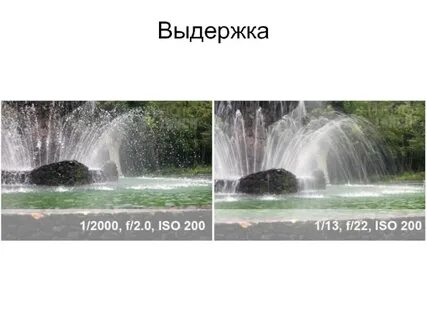 Привести выдержка