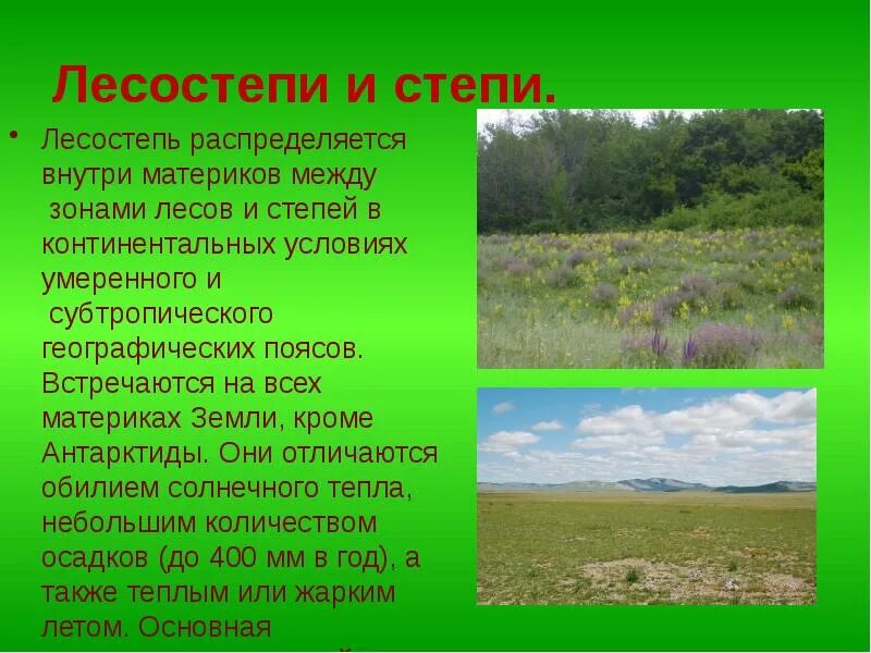 Климат лесостепи и степи в Евразии. Природные зоны Евразии степи и лесостепи. Природные условия лесостепи. Природные условия лесостепи и степи.