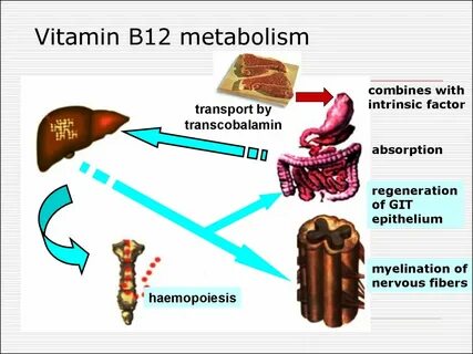 Повышенный b12