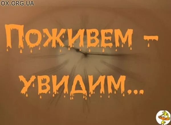 Пословица поживем увидим. Поживем увидим. Поживем увидим мемы. По живем увидим. Поживём увидим Доживём.