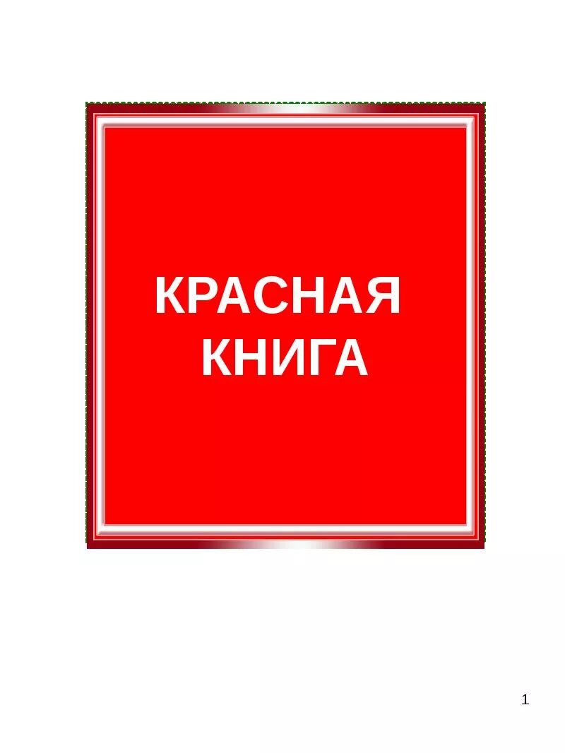 Проект в виде книжки. Красная книжка 2. Красная книга книга. Красная книга своими руками. Макет красной книги.