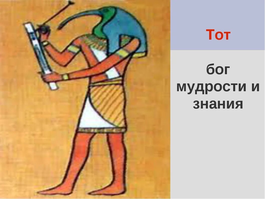 Что делал бог том. Бог мудрости в древнем египте. тот бог мудрости в древнем египте. бог тот в древнем египте 5 класс. бог тот в древнем египте бог чего.