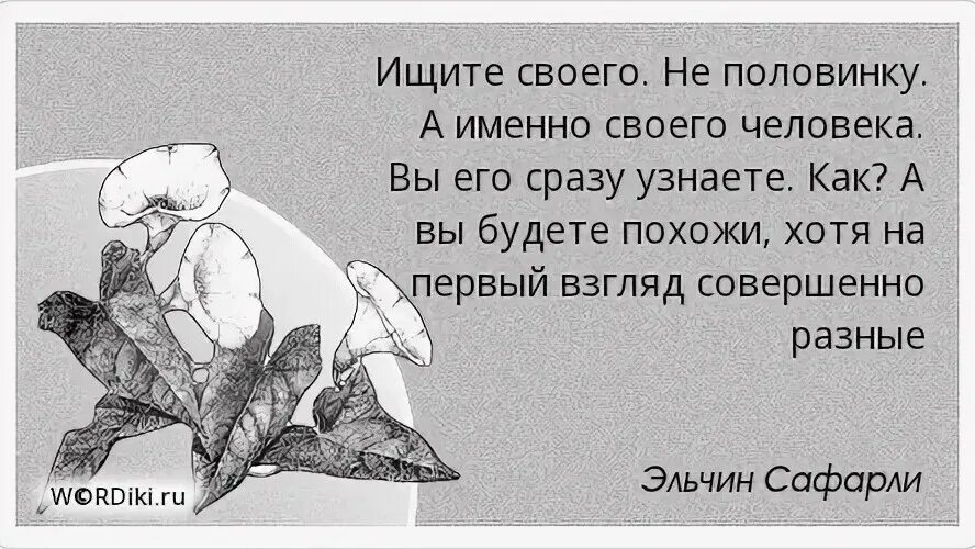 Долго правда. Элберт Хаббард цитаты. Счастье словно взгляд из самолета. Вот так бывает в жизни. Счастье и несчастье рядом.