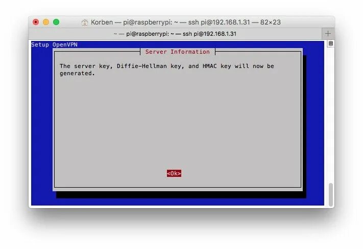 Как запустить network. Pivpn. апплет networkmanager 1.20.0 в raspberry картинки. ssh diffie hellman. pivpn v1.0.