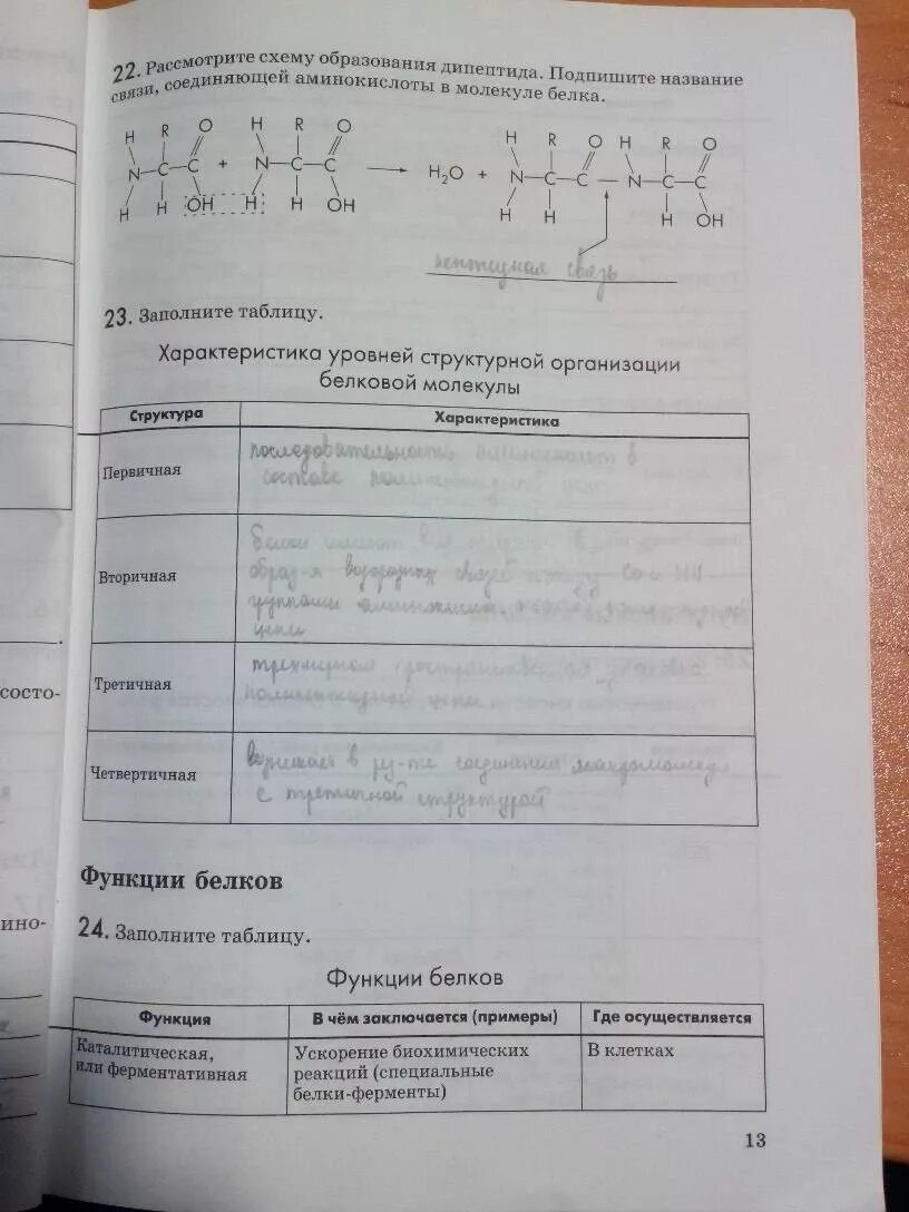 Гдз по биологии линия жизни 9 класс