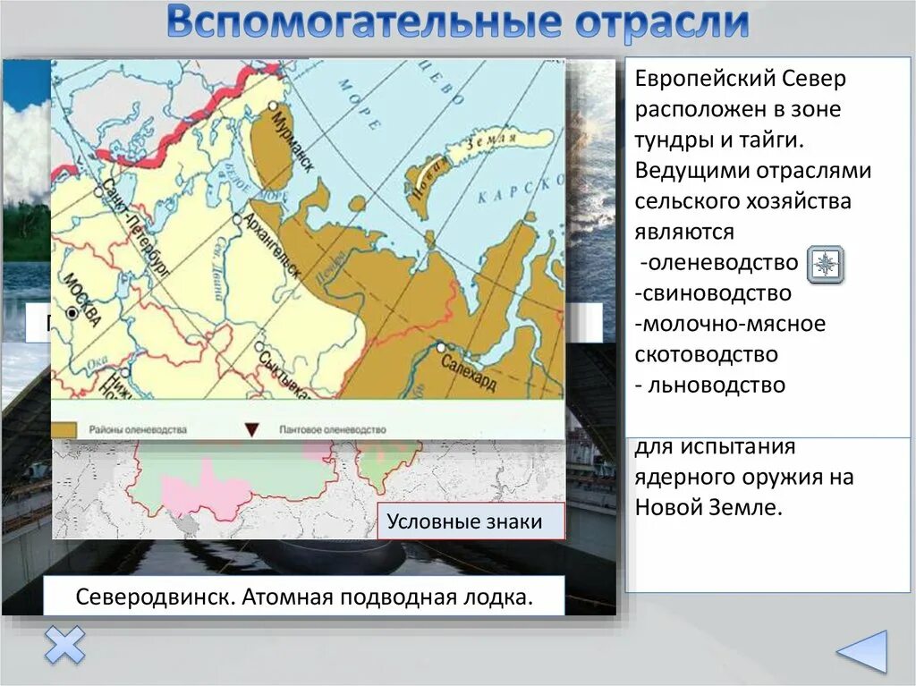 Условия развития европейского севера. Хозяйство европейского севера России. Хозяйство района европейского севера. Сельское хозяйство европейского севера 9 класс.