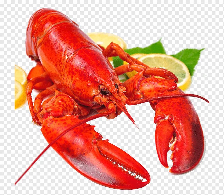 Лангусты крабы