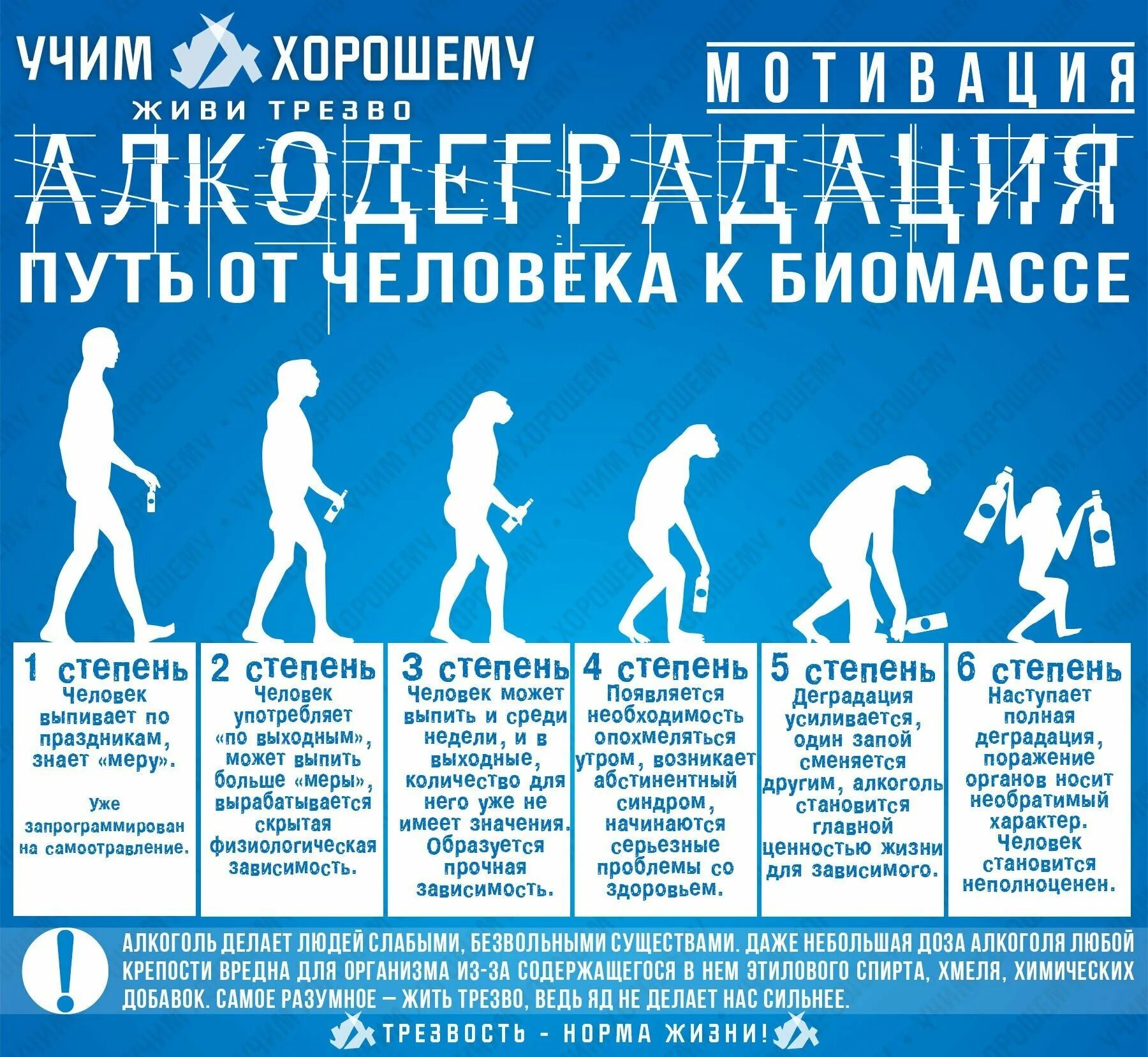 История выбирает сильных