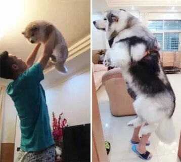 Большие станут меньшими