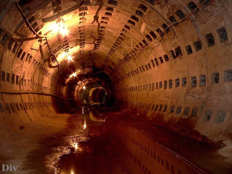 коллектор что это такое