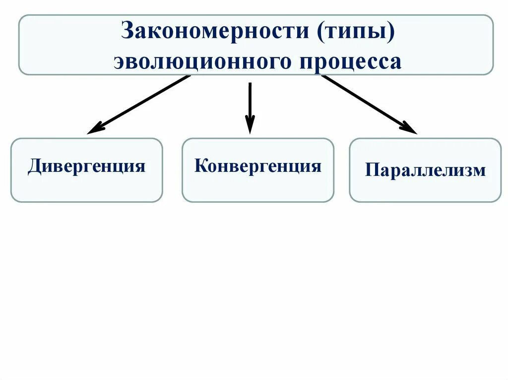 Закономерности направления эволюции. Закономерности эволюции дивергенция конвергенция параллелизм. Типы эволюционных изменений. Основные закономерности эволюции. Типы эволюционных изменений схема.