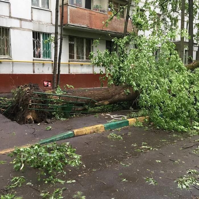 Ураган в москве вчера. Ураган в Москве (2017). Москва август 2017 ураган. Ураган, май 2017. Ураган в Москве.