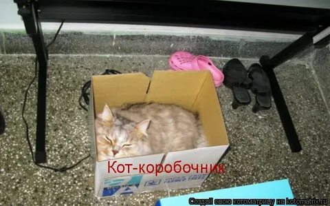 Завтра покупать