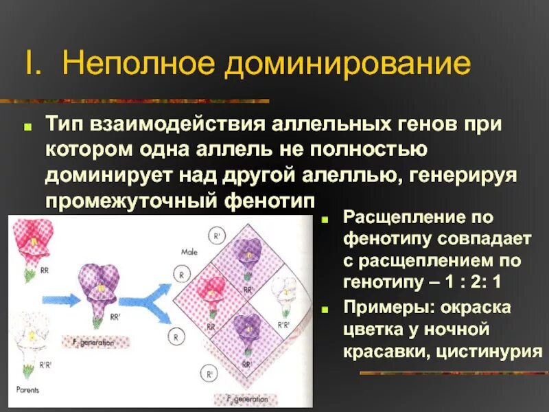 Неполное доминирование расщепление по генотипу. Тип взаимодействия при неполном доминировании. неполное доминирование взаимодействие аллельных генов при котором. промежуточный фенотип. расщепление по фенотипу при неполном доминировании.