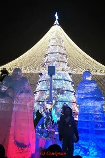 Какая елка в казани