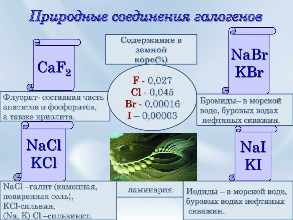 Бром вытесняет хлор. Соединения галогенов 9 класс. Соединение галогенов 9 класс химия. Природные соединения галогенов. Галогенные соединения.