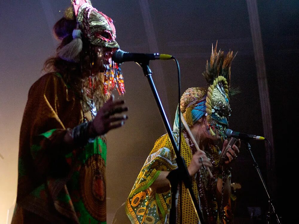 Lizard wizard. Ящерица в колпаке. Lizard wizard. Lizzard wizzard. Группа king gizzard & the lizard wizard.