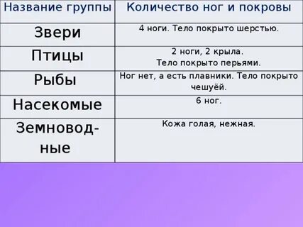 Число групп животных
