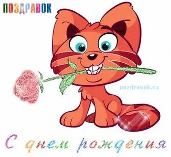 Поздравок точка