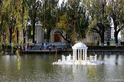 Лебединое озеро астрахань