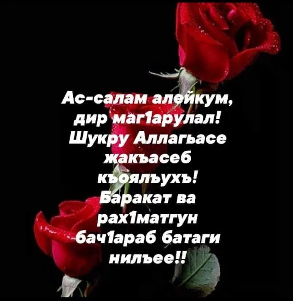 Салам алейкум баракату. Салам алейкум. Салам алейкум картинки красивые. Салам открытки. Алейкум АС Салам.