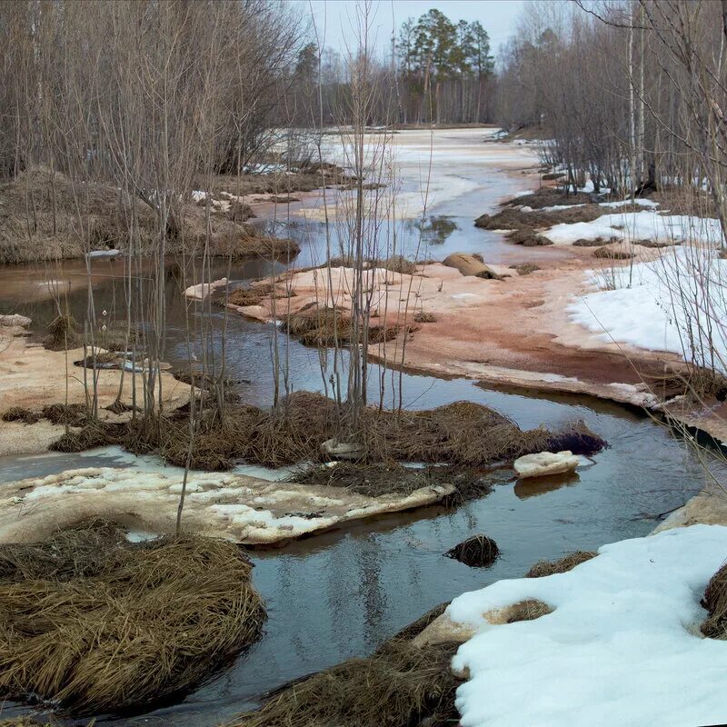весной побежали ручьи