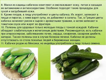Кабачки свойства