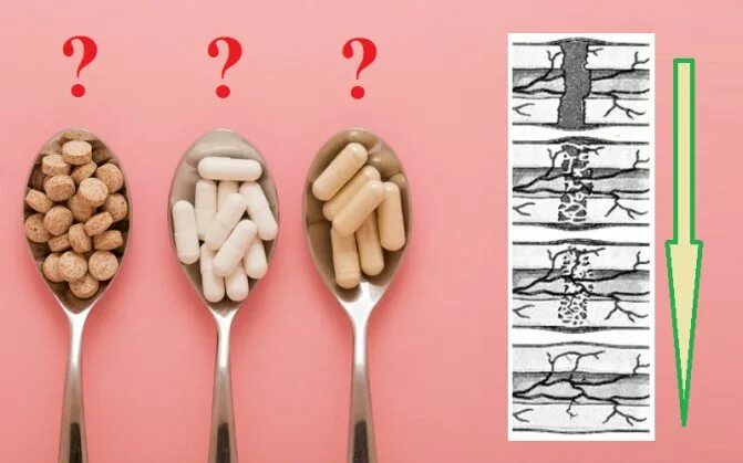 Кости можно есть. Препараты при переломах костей. Препараты для сращивания кости при переломе. Продукты для срастания костей ног. Таблетки при переломах для быстрого срастания костей.