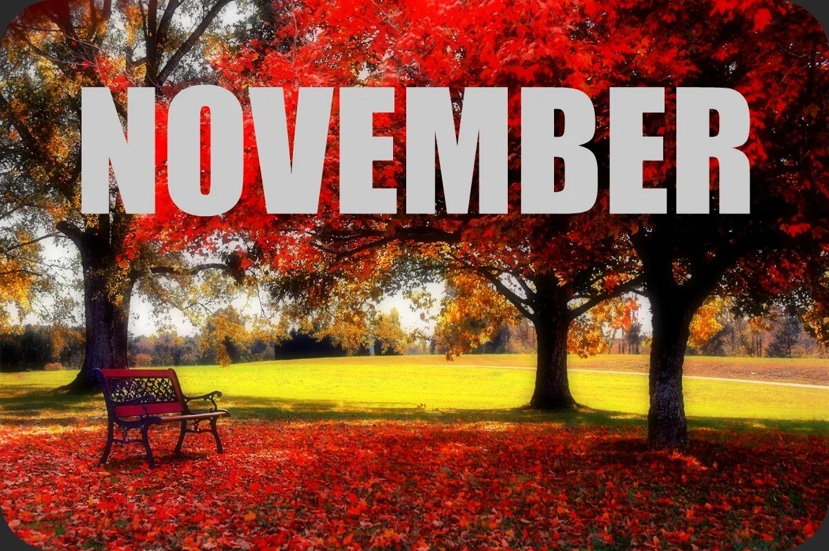 Надпись 26 ноября. November надпись. november картинки. новембер надпись. обои с надписью ноябрь.