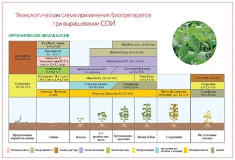 Условия сои