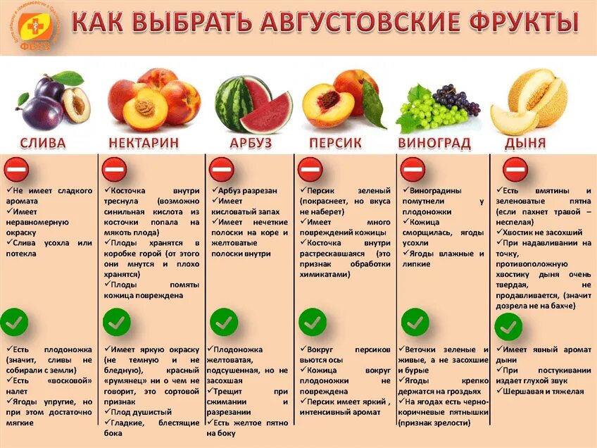 Во сколько часов можно кушать. Фрукты для похудения. Какие фрукты можно кушать при ПП. Какие фрукты можно при похудении. Фрукты для снижения веса.