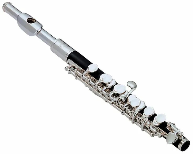Flute. Флейта поперечная Строй с Forest (USA) lkfl-306se (II). Флейта Пикколо слайд. Музыкальный инструмент духовой. Флейта музыкальный инструмент.