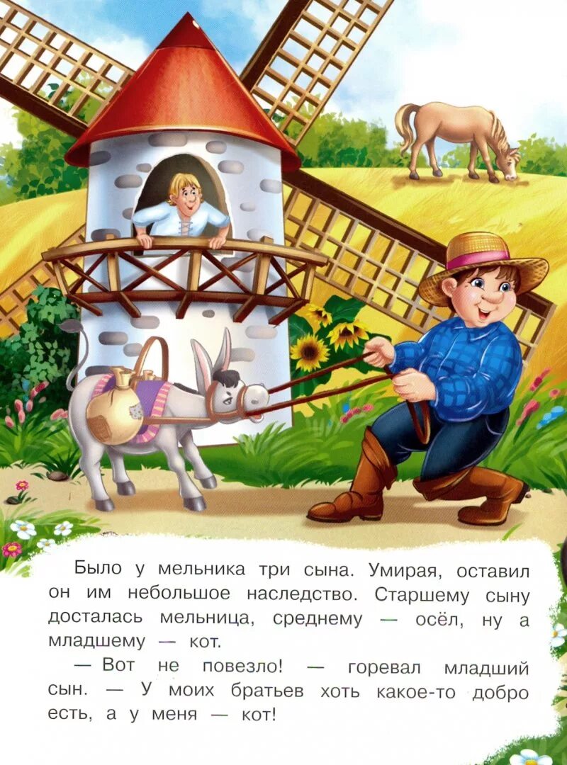 Кот в сапогах сын мельника. Сын мельника из сказки кот в сапогах. Сказки. Младший сын из кота в сапогах. Кот в сапогах.