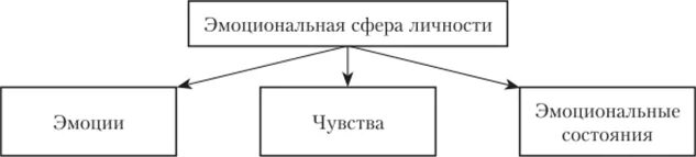 Чувственные компоненты. Структура эмоциональной сферы личности. Эмоциональная сфера личности в психологии. Эмоционально-волевая сфера схема. Эмоциональная сфера и ее составляющие.