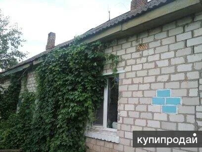 Авито пыталово
