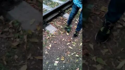 Нога билла фото