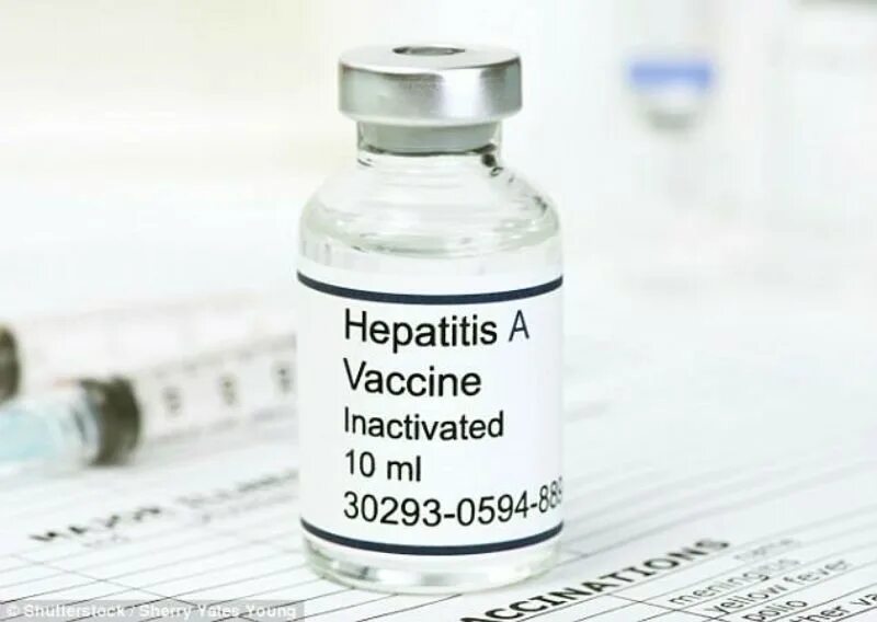 Вакцина от гепатита в. Hepatitis a vaccine. Вакцина хаврикс от гепатита а детям. Альгавак м вакцина против гепатита. Вакцина гепатит а цена