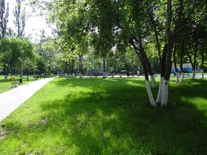 Лыткарино парк