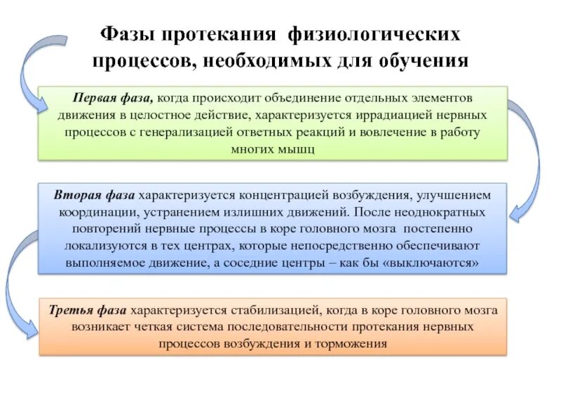 Фазы являющиеся основой обучения