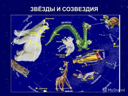 Созвездие фото и названия для детей